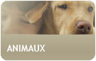 Animaux languedoc roussillon